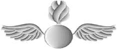 Aviation Ordnanceman (AO) Aviation Ordnanceman (AO)